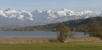 pano_baldeggersee_s